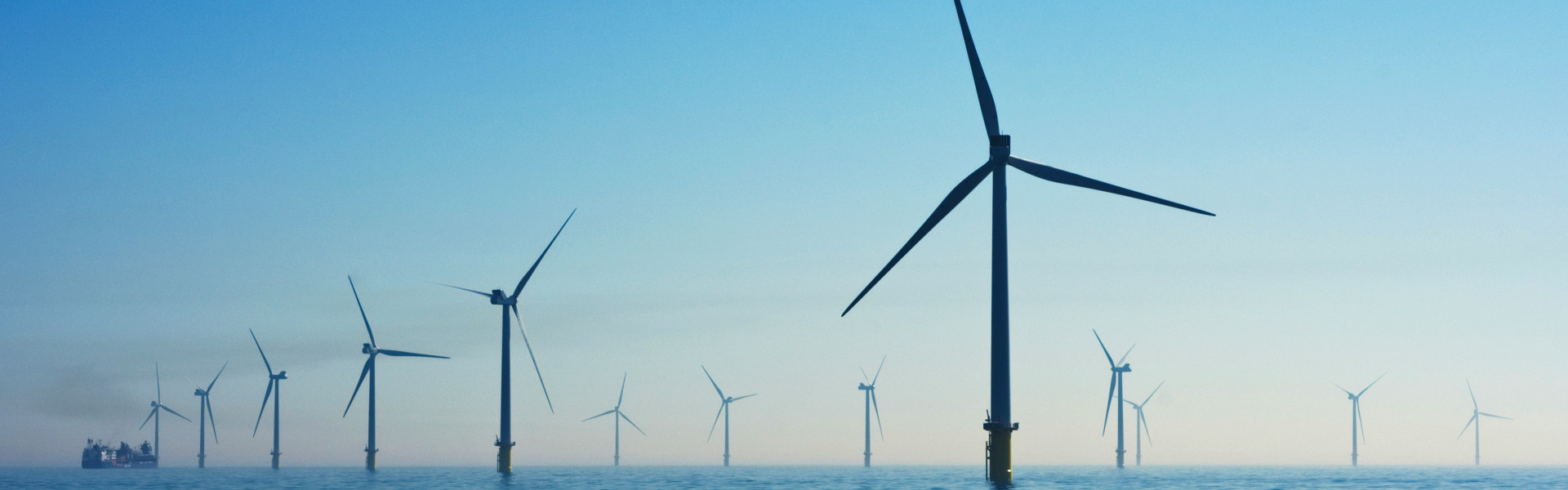 FINANCE, OFFSHORE ENERGY FOCUS GROUP