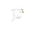 Orangebeak Penguin 
